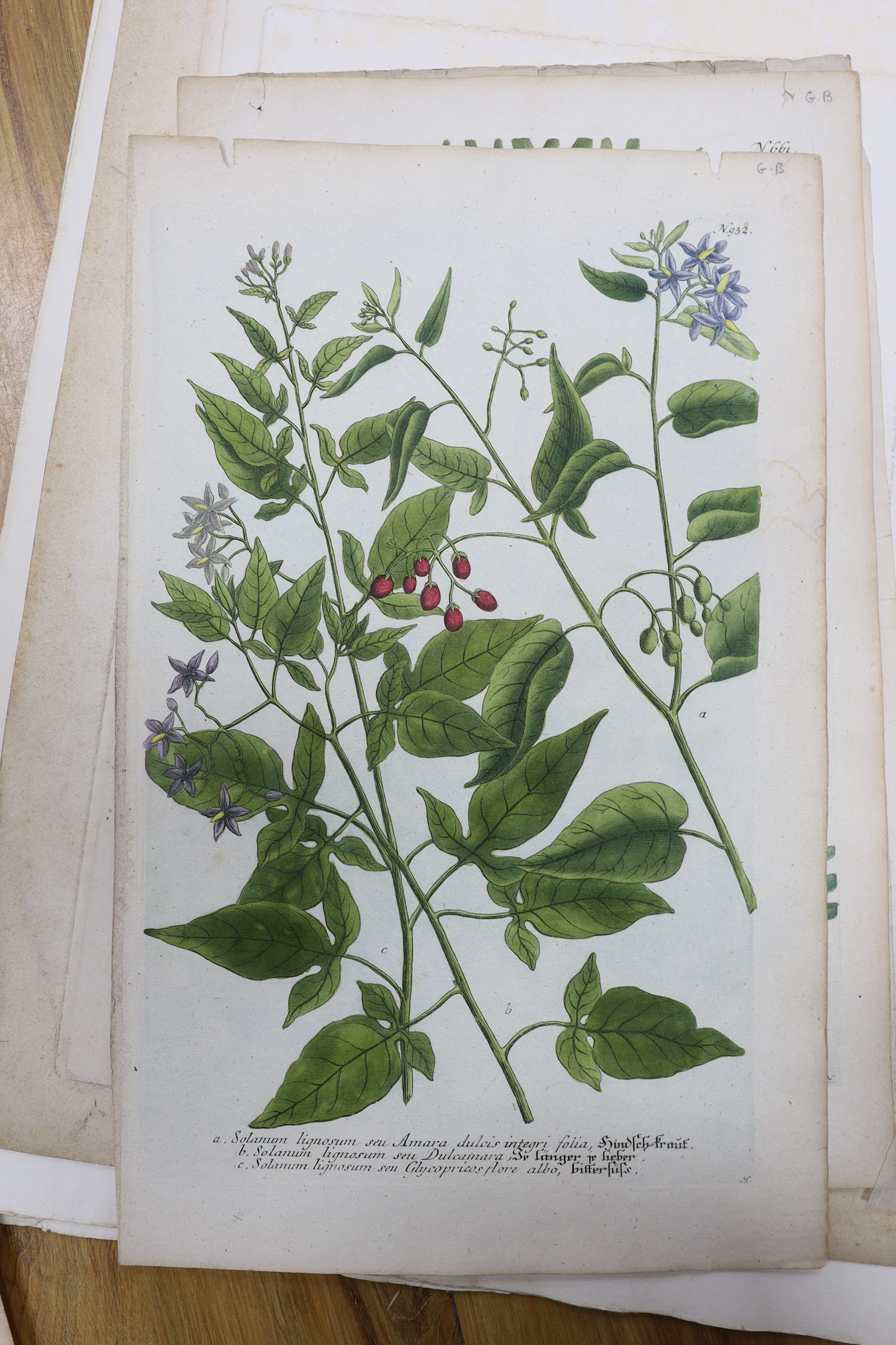 Four full plate 19th century black and white Venetian photos and a collection of prints, including botanical interest examples and one after J M W Turner, unframed, largest 33 x 49cm